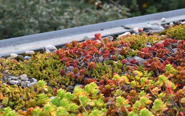 the cost of Walleys Green green roof installation
