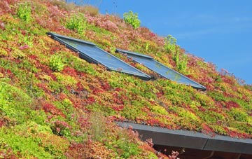 Walleys Green living roof systems