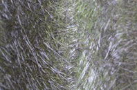 Walleys Green fibreglass roof work